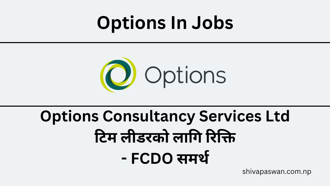 Options Consultancy Services Ltd Vacancy For Team Leader